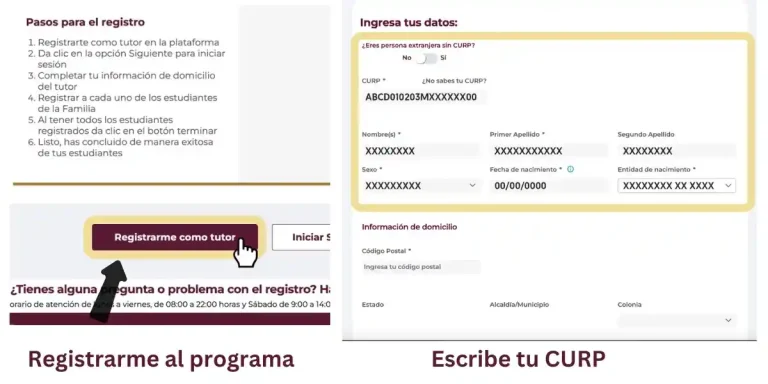 Ingresa tu CURP y otra información requerida
